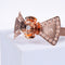 Amee Gold Royal Ribbon Silver Bracelet