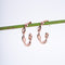 Amee Blush Gold Twists Silver Earrings