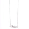 Amee Bold Spirit Silver Necklace