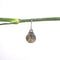 Amee Mystic Core Silver Earrings