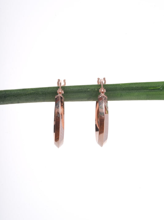 Amee Urban Hoop Silver Earrings